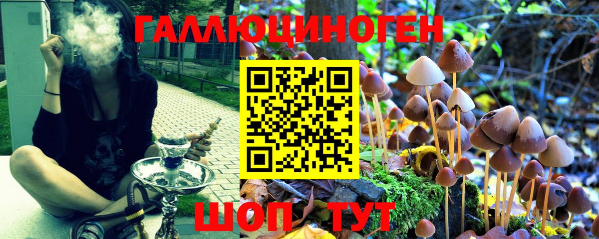 Псилоцибиновые грибы Magic Shrooms Ртищево