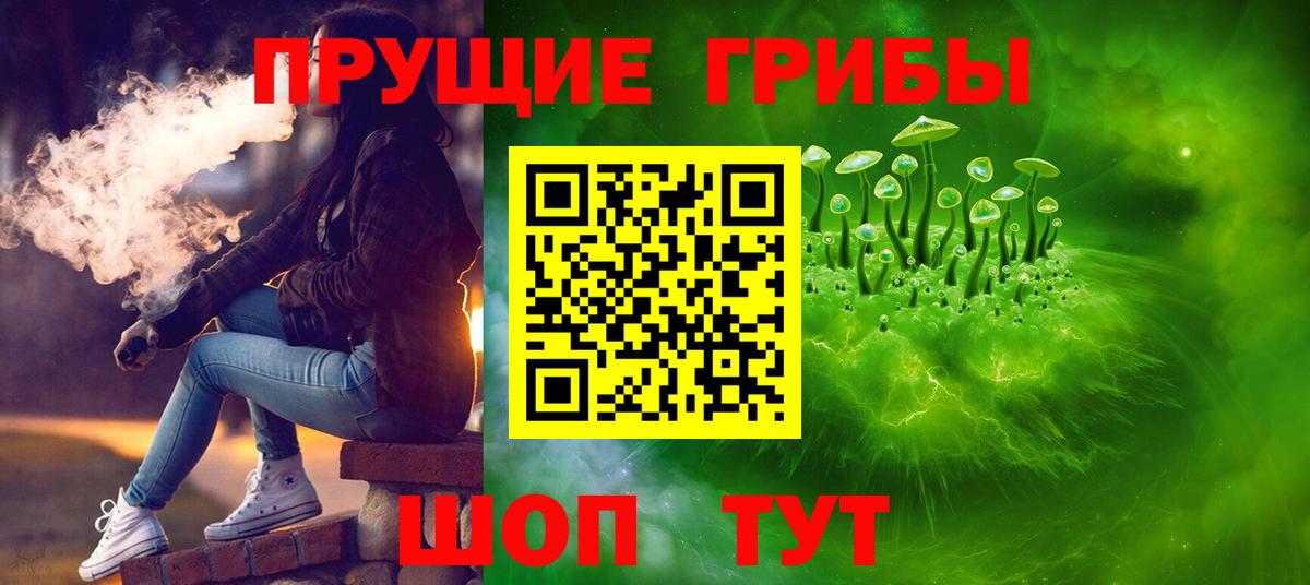 Ртищево  цены   Вход с VPN  Галлюциногенные грибы мицелий 
